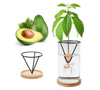 Plant Germination Kits,Avocado Tree Growing Kits, Avocado Growing Vase Wooden Base Avocado Seed Starter Vase Glass Plant Pot Easy Seed Sprout Starter Home Office Table Decoration (Black-1)