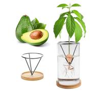 Plant Germination Kits,Avocado Tree Growing Kits, Avocado Growing Vase Wooden Base Avocado Seed Starter Vase Glass Plant Pot Easy Seed Sprout Starter Home Office Table Decoration (Black)