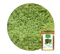 Plant Gift 100% 荷叶粉 100G/3.25oz Lotus Leaf Powder Non-GMO Powder, No Filler, No additives, Natural Chinese Flour, Adds Flavor and Taste, Great Flavor for Drinks