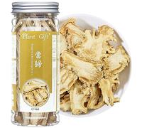 Plant Gift Angelica 70G/2.46oz 当归 Dried Cut Root Tea, Angelica Archangelica L