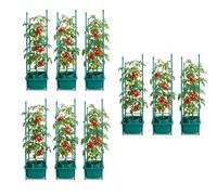 Plant Halo With Support Trellis Ladder Watering Ring for Tomatoes Self Watering Irrigation Planter System Tomato Grow Ring Root Watering Device for Garden Pots Raised Beds & Greenhouse Vegetables (3)