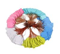 Plant Hanging Tag Waterproof Plastic Labels Reusable Garden Markers Colorful Blank Nursery Seed Name Tags with Strings 500 Pieces (5 Colors / 3.5X2. 5cm)