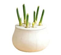 Plant Jar - Propagation Glass Container System, Fixed Lid Non Slip Growing Vessel with Hydroponic Sprout Maker Design, Water Root Cultivation Function, Ideal for Flowers Garlic Hyacinth Balcony Decor