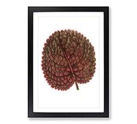Plant Leaf by Benjamin Fawcett Framed Print | A2 Black Framed Wall Art | Ready to Hang | Modern Floral Picture | Living Room Bedroom Lounge Office