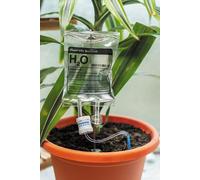 Plant Life Support Bubblegum Stuff Multi One Size