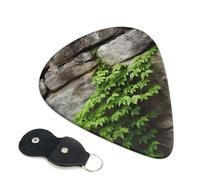 plant on stone wall Guitar Picks 6 Pack with Leather Guitar Pick Holder Keychain, Plectrum Key Fob Cases Bag, Abstract Art Plectrum for Acoustic Electric Guitar, Ukulele 0.71mm