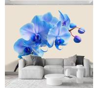 Plant Orchids Panorama Photo Wallpaper 400 x 280 cm Non-Woven Art Wall Mural, Photography Wall Mural for Master Bedroom Hotel Suite Tv Sofa Background Photo Wallpaper