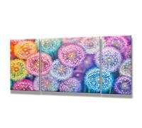 Plant Paint by Numbers Kits - Set of 3 Paint by Numbers for Adults Beginners, Easy DIY Oil Painting on Canvas with Brushes, Valentines Gifts for Her, Room Decor Dandelion (60x120cm No Frame) 0q-484