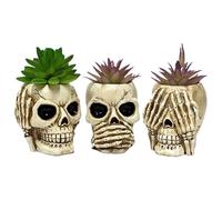 Plant Pot - 3 Pieces Resin Skull Head Flower Pots | Creative Pot Candy Container Flower Pot Funny Planter Plant Bowl for Gothic Decoration Home Table