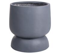 Beliani Plant Pot Araucaria 42 Cm Grey