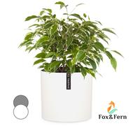 Plant Pot Flower Garden Planter Indoor Patio Drainage Home Decor Polystone White