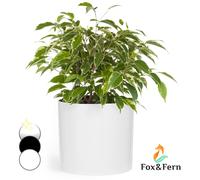 Fox & Fern Plant Pot, Large Plant Pots for Indoor & Outdoor, UV & Frost Resistant Plant Vase with Drainage Plug, Fiberstone, Large Indoor Pots for Plants & Flowers, House Indoor Plant Pot, Single Pot