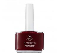 Plant Pot Vegan Friendly Nail Polish - Dangerous A