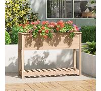 Plant Pot with Shelf 111.5 x 34.5 x 81 cm, Solid Pine Untreated Wood, Raised Bed for Garden, Balcony, Patio, Robust Flower Box Planter