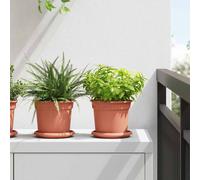 Plant Pots 24-Pack Brick Red Plastic Ø15x12cm Lightweight Drainage Holes Rim Set