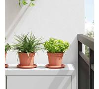 Plant Pots 24 Pack Brick Red Plastic Cylindrical Ø12.5 x 10cm Drainage Holes XL