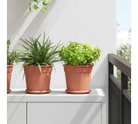Plant Pots Set 24 Brick Red Plastic Ø19 x16.5cm Rolled Rim Drainage Holes Indoor