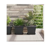 Plant Pots Set 6pcs Black Plastic Square 28.5x28.5x22cm Rolled Rim WithDrainage