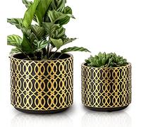 Plant Pots with Drainage Holes MIGGN 6 Inch+5 Inch Flower Pots Set of 2 Indoor Planter Decorative Plant Pots Succulent Flowerpot (Gold Curved)