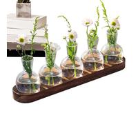 Plant Propagation Stand | Hydroponic Vases for Indoor Plants,Hydroponics Glass Vase Transparent Bud Vases with Wooden Tray, Plant Terrarium Propagation Station,