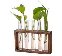 Plant Propagation Station 5 Glass Planter with Wooden Stand Test Tubes for Plants Desktop/Wall Hanging Plant Terrarium for Propagating Hydroponic Plants Display Style 1..