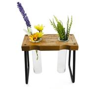 Plant Propagation Station Set, Table Terrarium with Wooden Stand, Indoor Plants Decoration for Home Studio and Interior Greening