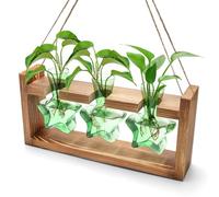 Plant Propagation Station, Windspeed Star-Shaped Plant Terrarium with Wooden Stand Hydroponic Planters Wall Hanging for Hydroponics Office Garden Home Decor, Gifts for Plant Lover