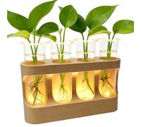 Plant Propagation Station with Adjustable LED Lights, Wooden Stand, 4 Glass Test Tubes for Hydroponic Plants, Unique Gift for Plant Lovers-Desktop Terrarium for Home Decor (Warm light)