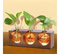 Plant Propagation Station with Wooden Stand, Plant Terrarium with 4 Mode 9-Level Adjustable LED Lights, 3 Glass Propagation Vases for Hydroponics, Propagation Tubes Unique Gifts for Women Home Decor