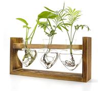 Plant Propagation Stations, Plant Terrarium with Wooden Stand, Heart Shaped Propagation Vases for Hydroponics, Home Office Garden Decor, Birthday Gardening Gifts for Women Mom