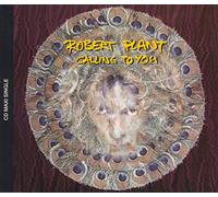 Plant Robert - Calling to You