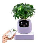 Plant Robot | Intelligent AI for Pets and Multiple Expressions - Planter | Indoor Home Living Room Bedroom Balcony Patio Beginners Birthday Valentine