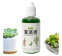 Plant Root Stimulator | Flower Rooting Agent,50ml Organic Growth Liquid for Hydroponic Soil Compost Systems Bonsai