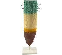 Plant Root System Anatomical Model, Root Longitudinal Section Anatomy Magnified Model, Teaching and Educational Instruments for Middle and High School Biology