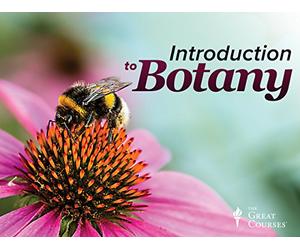 Plant Science: An Introduction to Botany