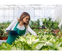 Plant Selection: Finding Quality Specimens