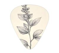 Plant Sketch printed guitar picks, 12-piece set with thin, medium, and thick styles, comes with a storage case