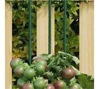 Plant stakes 115cm Green Steel PP Coated 30pc 2-section Garden Support for pots
