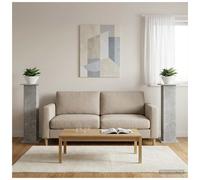 vidaXL Plant Stand 2 pcs Concrete Grey 30.5 x 30 x 100.5 cm