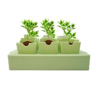 Plant Starter Trays - Plant Starter Trays For Transplanting - Greenhouse Transplanting Growing Starting Supplies for Gardening Indoor Outdoor Flower Bed Cultivation Propagation