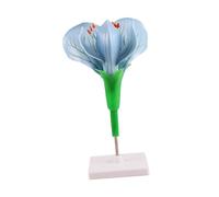 Plant Structure Learning Model with Flower, Pea Flower Model