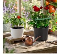 Plant Support Rings with Clips, Half-Circle Garden Stakes for Flowers, Vegetables, Vines, Space Saving Pathway Divider, Green, 4 Sets(Small)