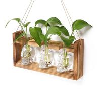 Plant Terrarium Propagation Stations Hydroponics Halloween Skull Planter Vase Skulls Decor with Wooden Stand Gife for Father