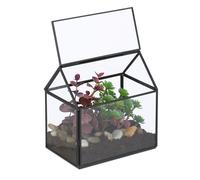 Plant Terrarium Succulent Cactus House Mini Greenhouse Glass Air Plant Container