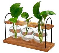 Plant Terrarium with Wooden Stand, The Ultimate Gift for Plant Lovers, Propagation Station with Retro Glass Bulbs, Creating a Stunning Tabletop Display of Hydroponic Greenery in Any Home or Office