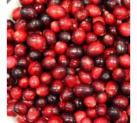Plant Theory Cranberry Pilgrim Fruit Bush Vaccinium Fruiting Berry Shrub Plant 3L Pot