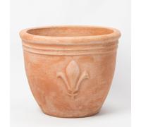 Plant Theory Saphyr Orange Firethorn Shrub Plant Pyracantha 10L Pot 80cm - 100cm trellis in Green Plant Theory Green