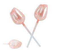 Plant Tips - Plant Watering Sets, Water Ball, 2 x Automatic Decorative Watering Tips, Feeder Balls, Car Planter Insert Inserts Support Plant Health