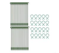 Plant Training Stakes with Adjustable Ring Clips for Controlling Growth Direction of Climbing Plants and Stem Breakage in Wind (B)