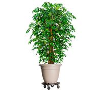 Plant Trolley 2pcs Black 40cm Dia PP & Steel Heavy Duty 275kg Rotating Castors.
